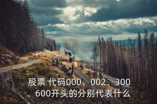  股票 代碼000、002、300、600開(kāi)頭的分別代表什么