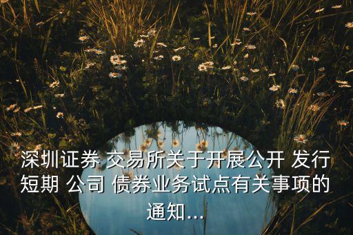 深圳證券 交易所關(guān)于開展公開 發(fā)行短期 公司 債券業(yè)務試點有關(guān)事項的通知...