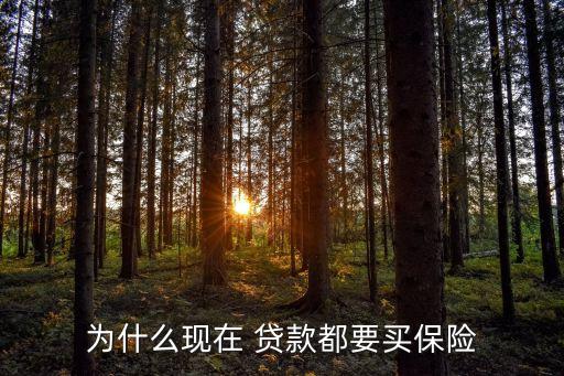 為什么現(xiàn)在 貸款都要買保險