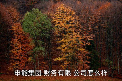 合資財務公司,電子財務公司承兌匯票
