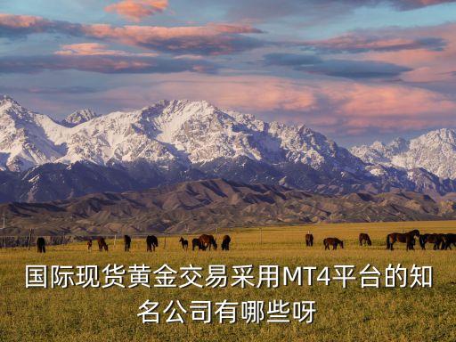 國際現(xiàn)貨黃金交易采用MT4平臺(tái)的知名公司有哪些呀