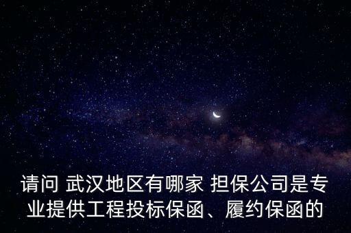武漢金正合融資擔(dān)保有限公司,武漢信用風(fēng)險(xiǎn)管理融資擔(dān)保有限公司