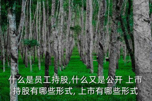 內部職工股怎樣注入上市公司