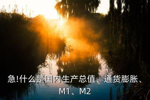 急!什么是國內(nèi)生產(chǎn)總值、通貨膨脹、M1、M2