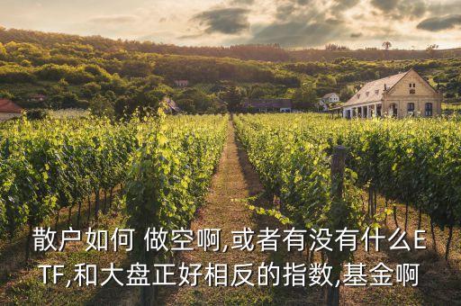 散戶如何 做空啊,或者有沒(méi)有什么ETF,和大盤(pán)正好相反的指數(shù),基金啊