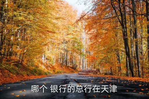 哪個(gè) 銀行的總行在天津