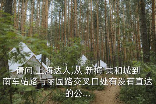 請問 上海達(dá)人,從 新梅 共和城到南車站路與麗園路交叉口處有沒有直達(dá)的公...