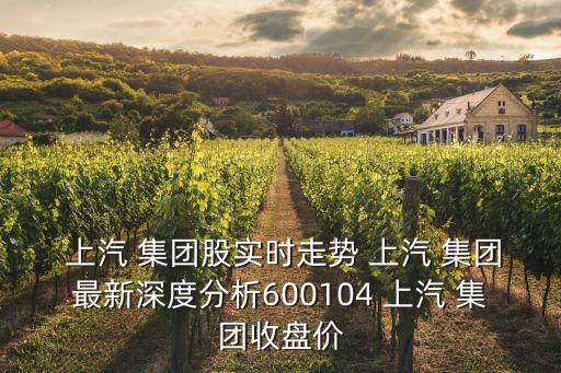  上汽 集團股實時走勢 上汽 集團最新深度分析600104 上汽 集團收盤價