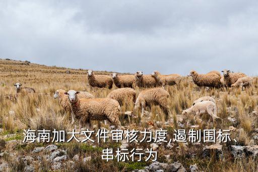  海南加大文件審核力度,遏制圍標、串標行為