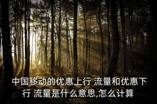 中國(guó)移動(dòng)股票流量