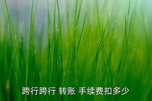 跨行跨行 轉(zhuǎn)賬 手續(xù)費扣多少
