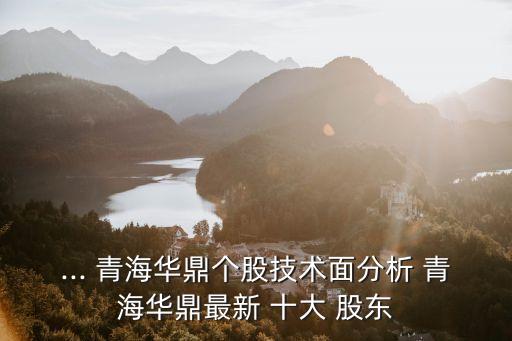 ... 青海華鼎個(gè)股技術(shù)面分析 青海華鼎最新 十大 股東