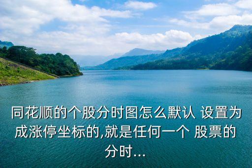 同花順的個股分時圖怎么默認 設(shè)置為成漲停坐標(biāo)的,就是任何一個 股票的分時...