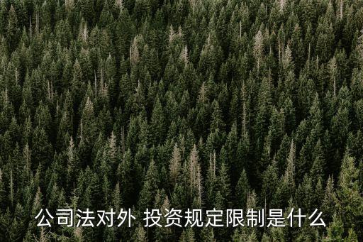 公司法對(duì)外 投資規(guī)定限制是什么