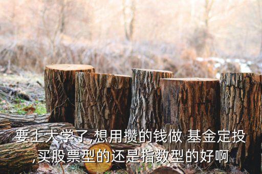 要上大學(xué)了,想用攢的錢(qián)做 基金定投,買(mǎi)股票型的還是指數(shù)型的好啊