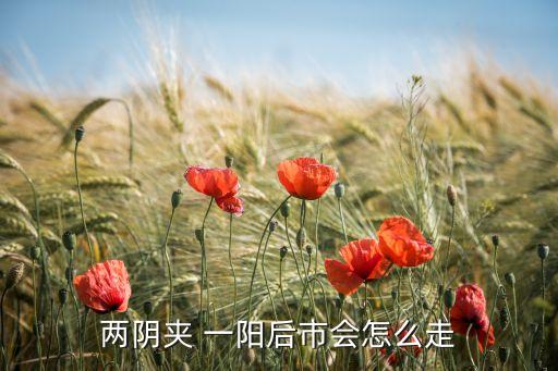 兩陰夾 一陽(yáng)后市會(huì)怎么走