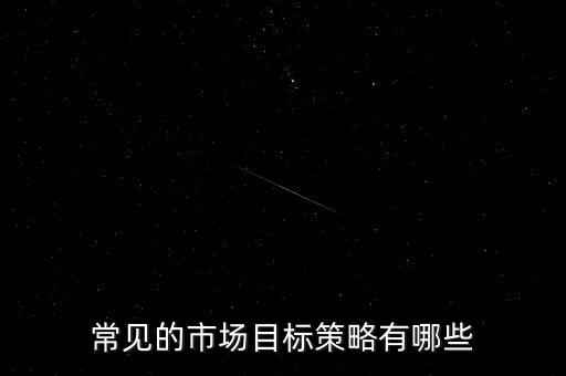 常見(jiàn)的市場(chǎng)目標(biāo)策略有哪些