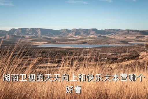 湖南衛(wèi)視的天天向上和快樂大本營哪個好看