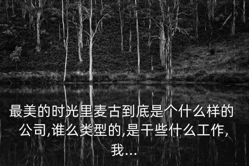 最美的時(shí)光里麥古到底是個(gè)什么樣的 公司,誰么類型的,是干些什么工作,我...