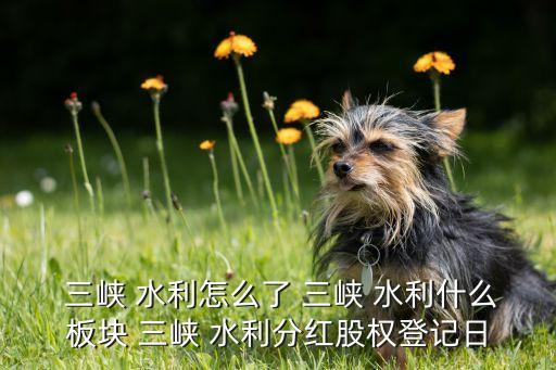  三峽 水利怎么了 三峽 水利什么板塊 三峽 水利分紅股權登記日