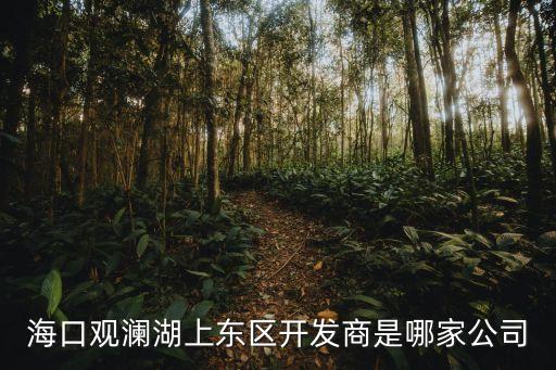 海口觀瀾湖上東區(qū)開發(fā)商是哪家公司