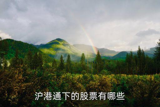 青島賽輪股份有限公司地址,賽輪集團股份有限公司青島工廠