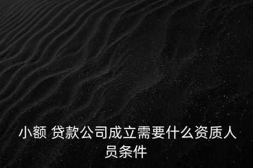  小額 貸款公司成立需要什么資質人員條件