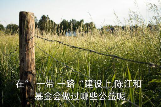 在” 一帶 一路“建設(shè)上,陳江和 基金會做過哪些公益呢