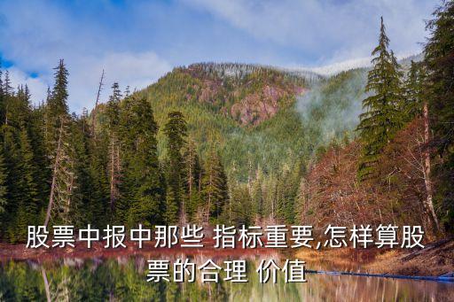 股票中報(bào)中那些 指標(biāo)重要,怎樣算股票的合理 價(jià)值