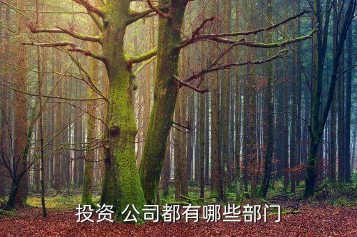 投資 公司都有哪些部門