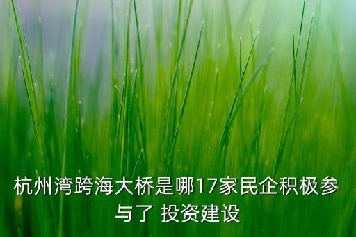 杭州灣跨海大橋是哪17家民企積極參與了 投資建設