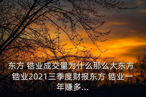 東方 鋯業(yè)成交量為什么那么大東方 鋯業(yè)2021三季度財(cái)報(bào)東方 鋯業(yè)一年賺多...