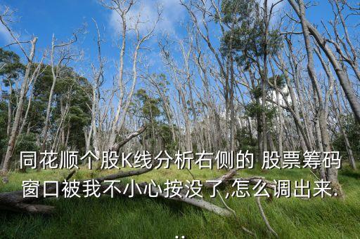 同花順個(gè)股K線(xiàn)分析右側(cè)的 股票籌碼窗口被我不小心按沒(méi)了,怎么調(diào)出來(lái)...