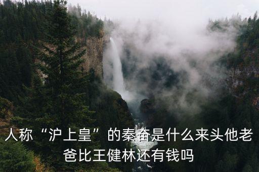 人稱“滬上皇”的秦奮是什么來(lái)頭他老爸比王健林還有錢(qián)嗎