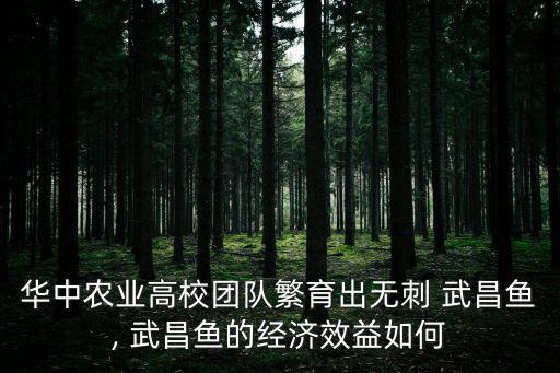 華中農(nóng)業(yè)高校團(tuán)隊(duì)繁育出無刺 武昌魚, 武昌魚的經(jīng)濟(jì)效益如何