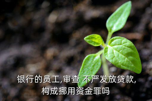 銀行審核不嚴工作人員職責,銀行工作人員 審核不嚴 怎么處理
