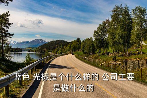  藍(lán)色 光標(biāo)是個(gè)什么樣的 公司主要是做什么的