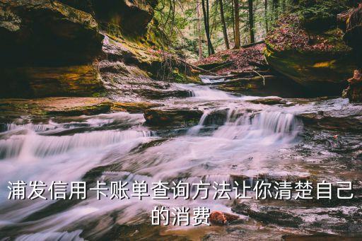 浦發(fā)銀行查交易明細