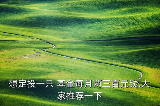 想定投一只 基金每月兩三百元錢(qián),大家推薦一下