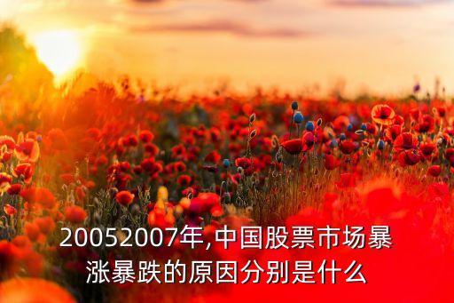 20052007年,中國(guó)股票市場(chǎng)暴漲暴跌的原因分別是什么