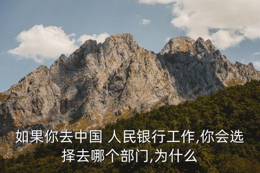 如果你去中國(guó) 人民銀行工作,你會(huì)選擇去哪個(gè)部門(mén),為什么