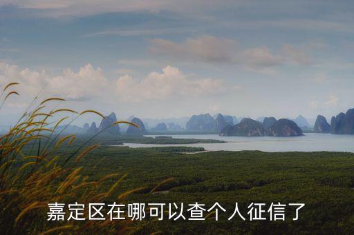 上海個(gè)人信用信息查詢(xún),個(gè)人信用信息查詢(xún)授權(quán)書(shū)有什么影響