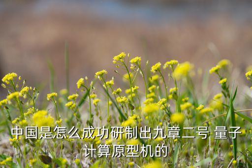 中國是怎么成功研制出九章二號 量子計算原型機的