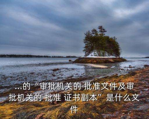 ...的“審批機關(guān)的 批準(zhǔn)文件及審批機關(guān)的 批準(zhǔn) 證書副本”是什么文件