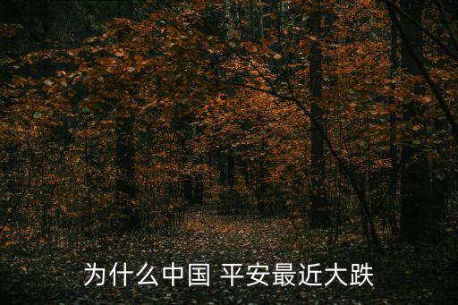 中國平安投資連結(jié)價格公告