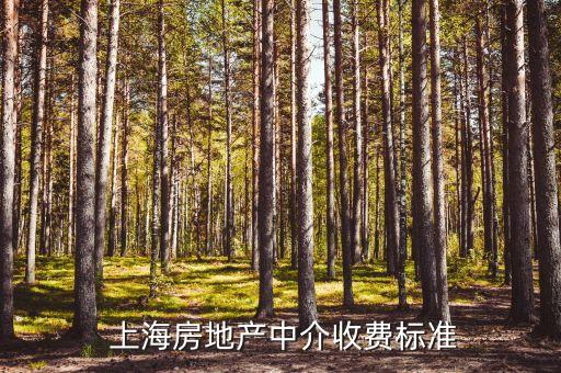  上海房地產(chǎn)中介收費標準