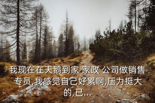 家政公司市場(chǎng)專(zhuān)員,在家政公司做招聘專(zhuān)員工作好做嗎