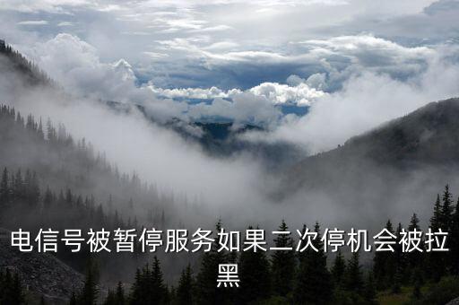 電信號被暫停服務(wù)如果二次停機(jī)會(huì)被拉黑