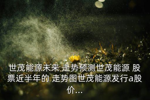 世茂能源未來 走勢(shì)預(yù)測(cè)世茂能源 股票近半年的 走勢(shì)圖世茂能源發(fā)行a股價(jià)...