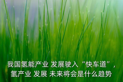 我國氫能產(chǎn)業(yè) 發(fā)展駛入“快車道”,氫產(chǎn)業(yè) 發(fā)展 未來將會是什么趨勢